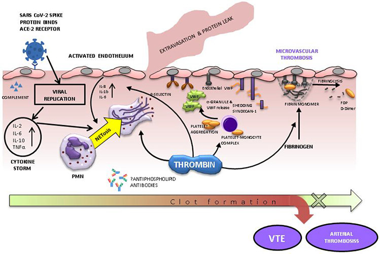 Figure 2: