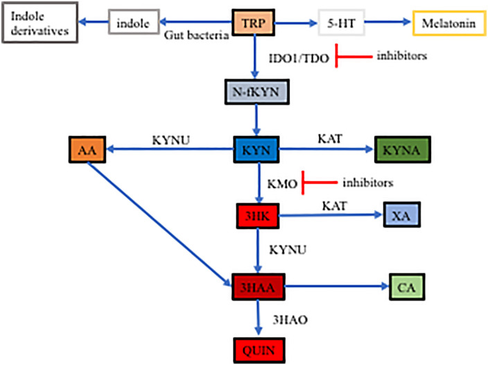 Figure 2.