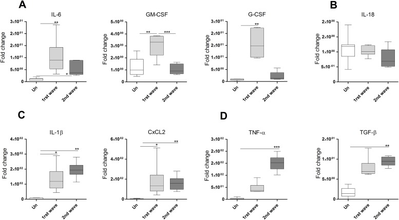 Fig 6