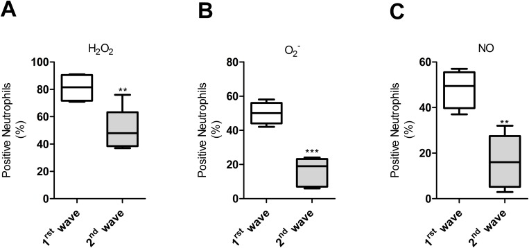 Fig 5