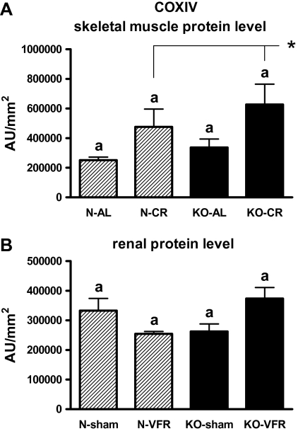 Figure 10.