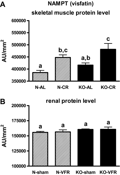 Figure 12.