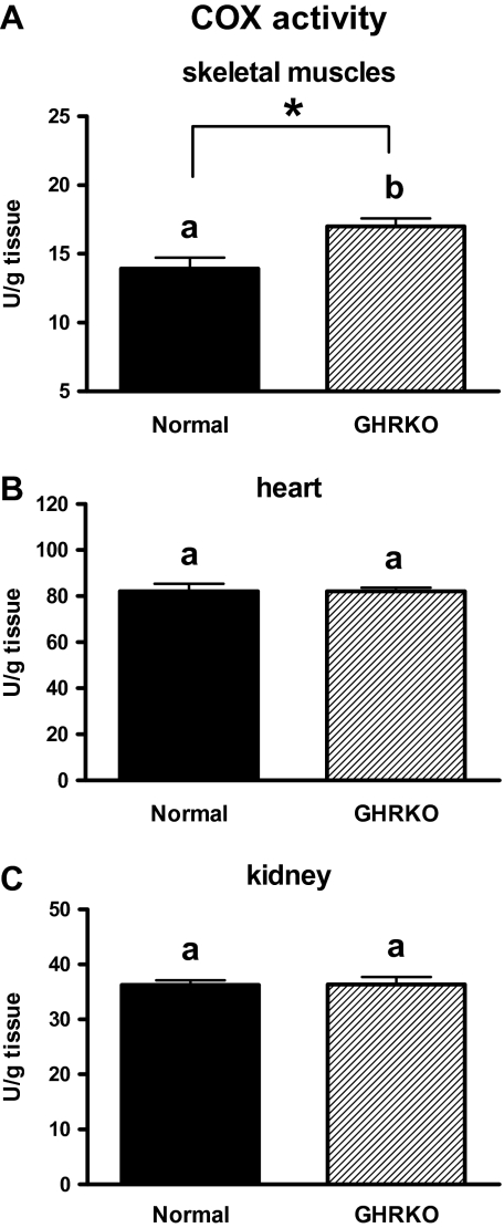 Figure 11.