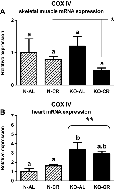 Figure 9.