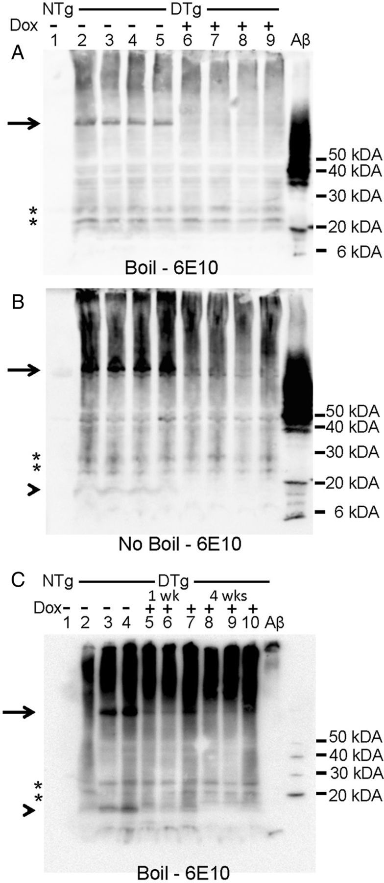 Figure 10.