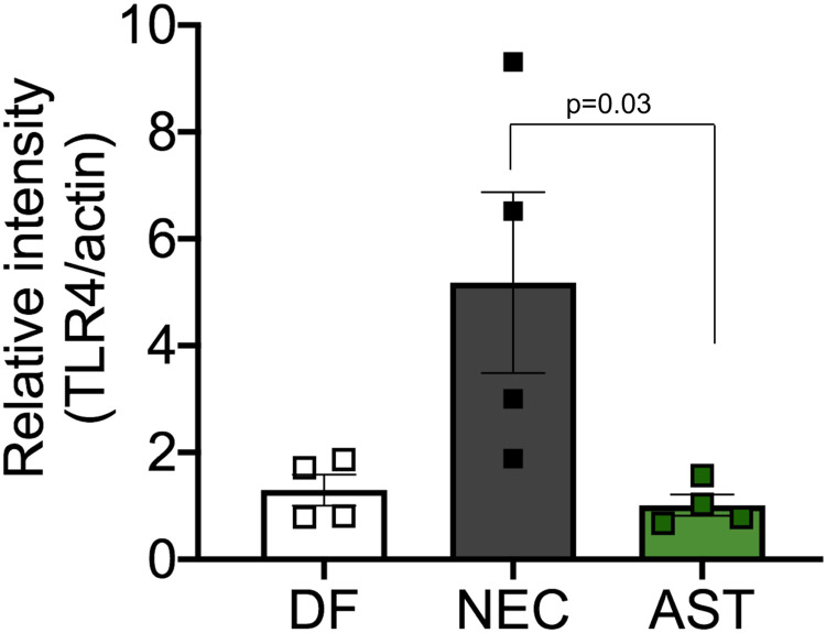 Fig 7