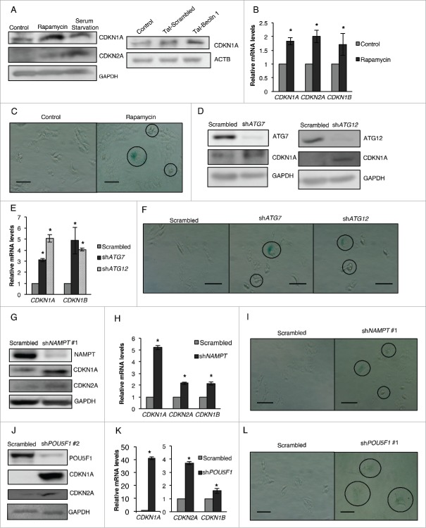 Figure 10.