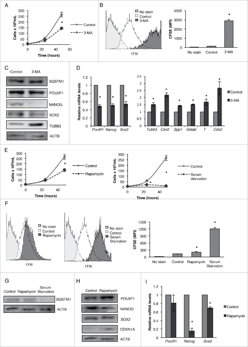 Figure 12.