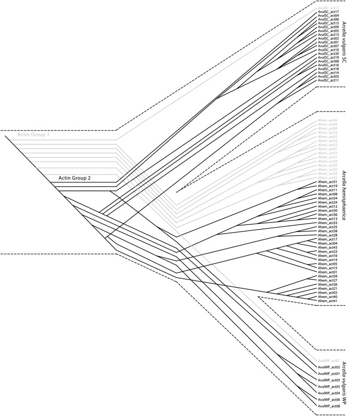 FIG. 7