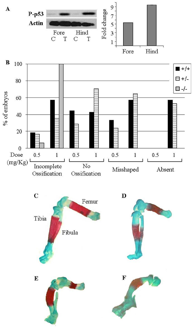 Figure 6: