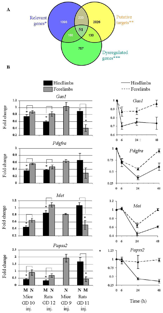 Figure 4: