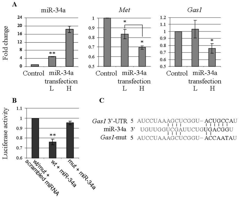 Figure 5: