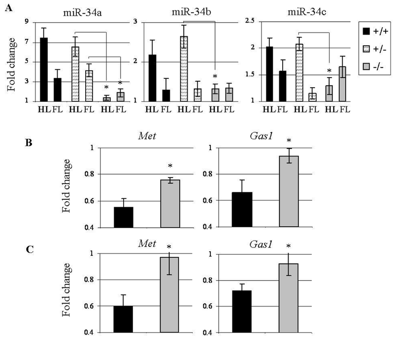 Figure 7: