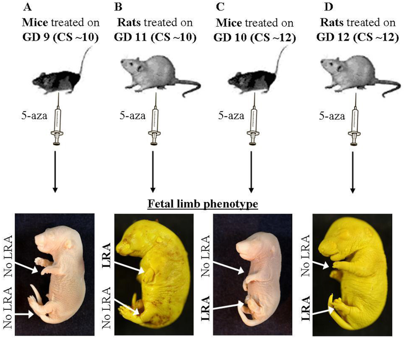 Figure 1: