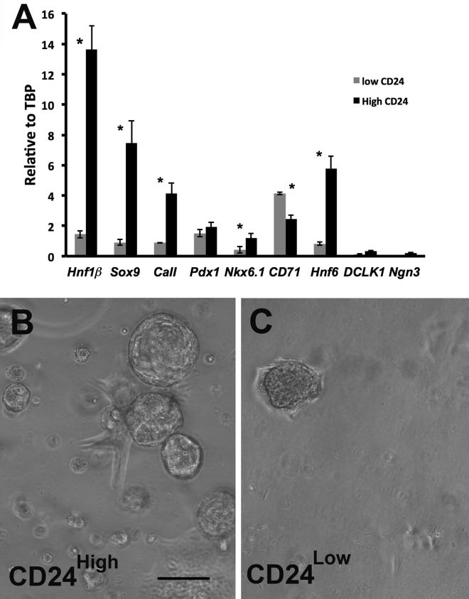 Figure 6