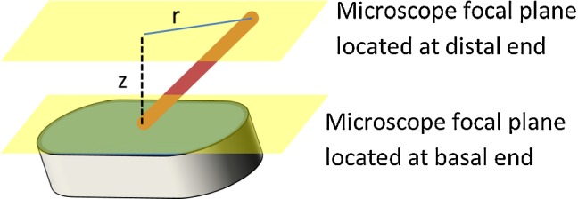 Fig. 2
