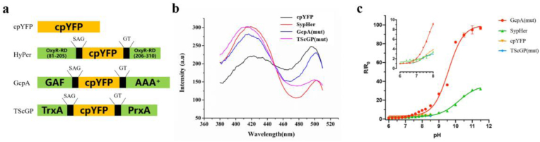 Fig. 2