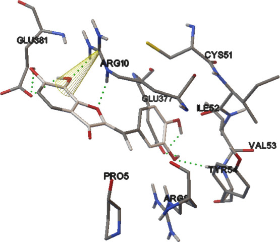 Fig. 11