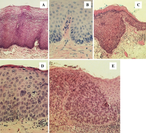 Fig. 1