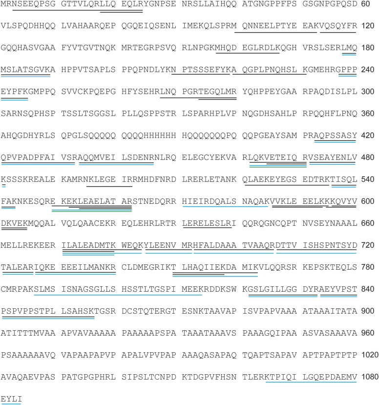 Figure 1—figure supplement 1.