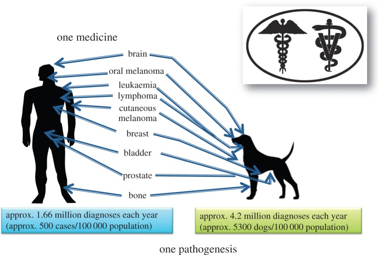 Figure 2.