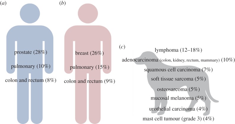 Figure 1.