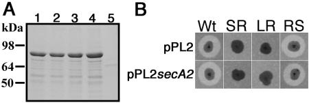 FIG. 6.