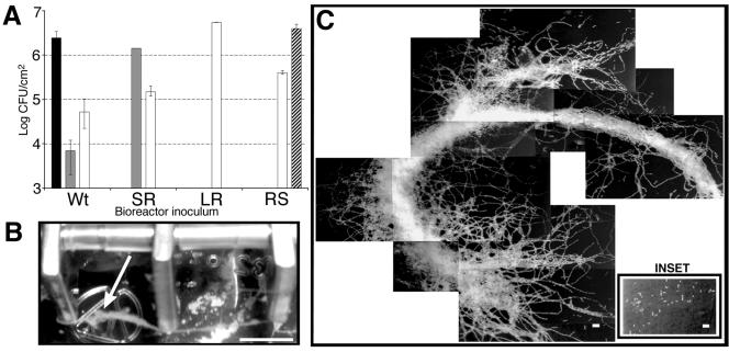 FIG. 2.