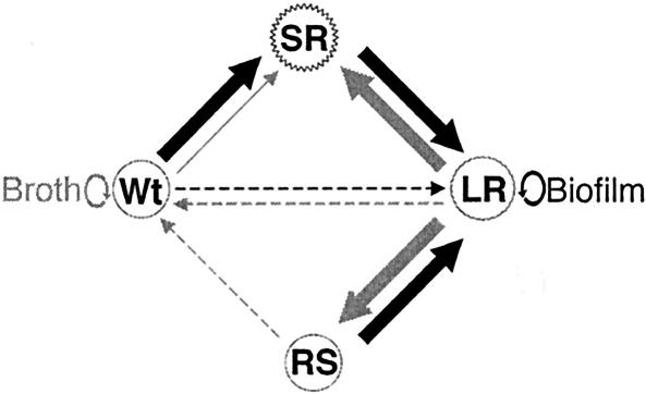 FIG. 8.