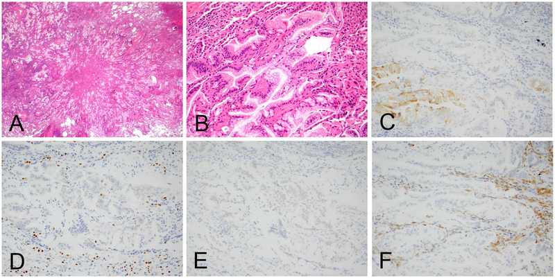 Figure 13.