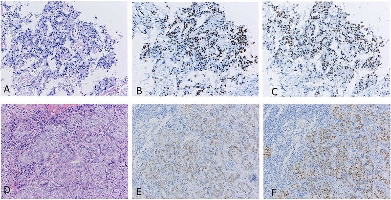 Figure 16.