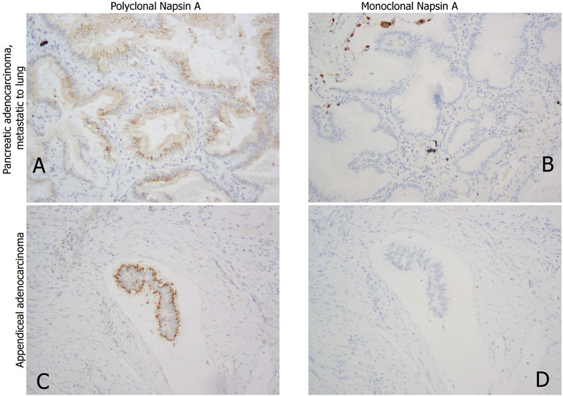 Figure 14.