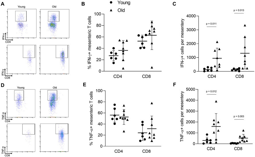 Figure 6: