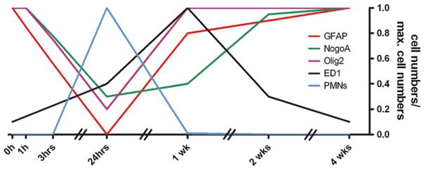 Fig. 9