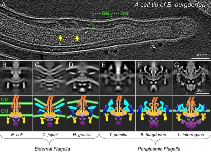 FIG 4