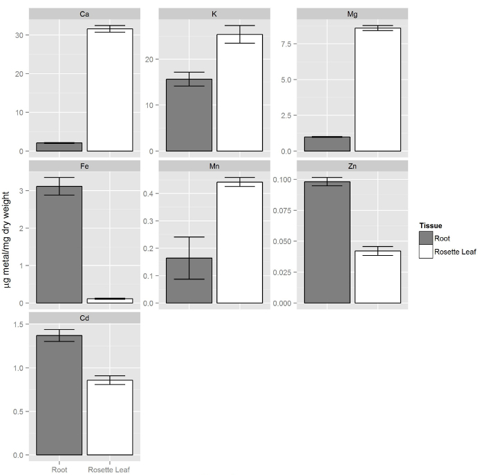 graphic file with name jove-113-54317-7.jpg