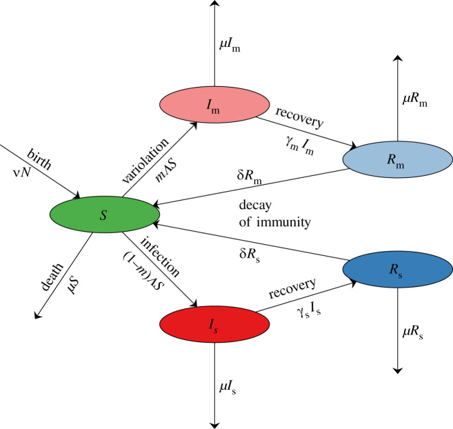 Figure 1. 