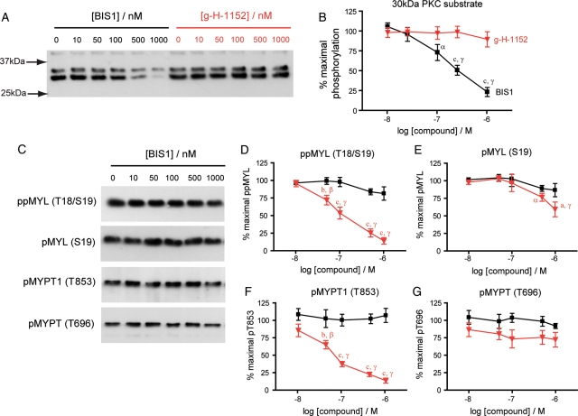 Figure 6