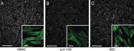 Figure 7