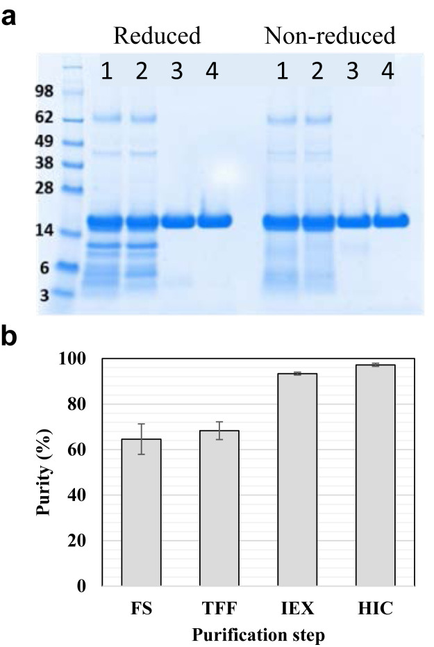 Figure 1