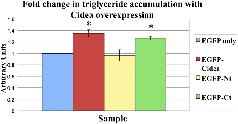 Fig. 5.