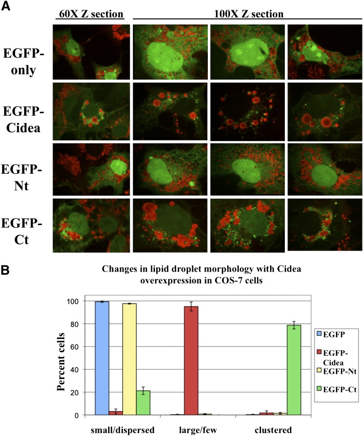 Fig. 4.