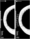 FIG. 2.