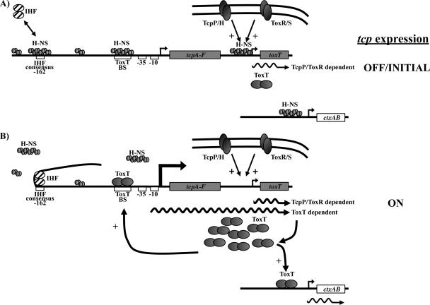 FIG. 8.