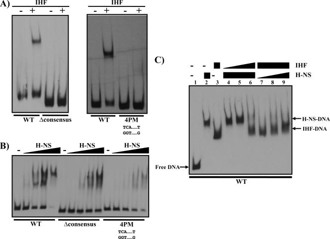 FIG. 6.