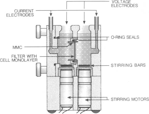 Fig. 8.