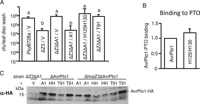 Fig 5