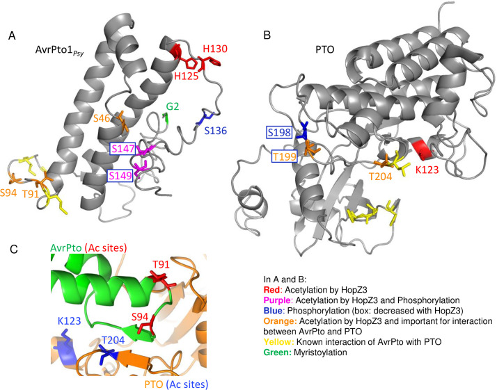 Fig 4