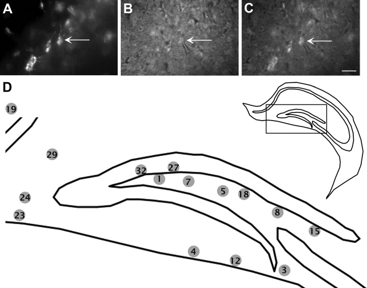 Figure 6.