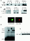 FIG. 6